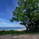 Alex Village Pensiune 4*