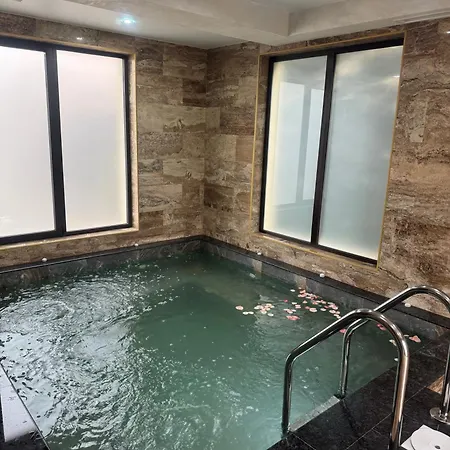 Alex Village ゲストハウス シュコルピロフツ