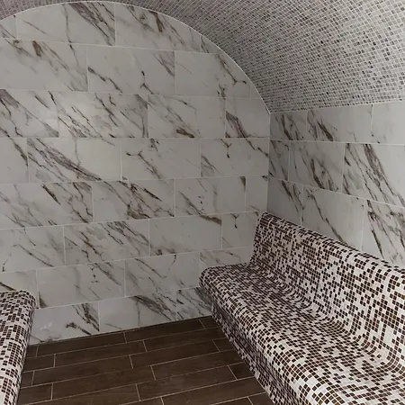 ゲストハウス Alex Village シュコルピロフツ