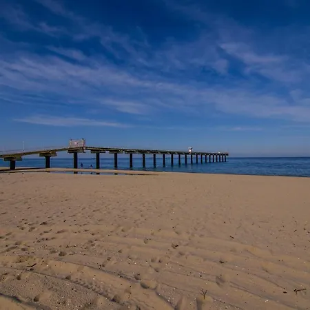 Alex Village ゲストハウス シュコルピロフツ