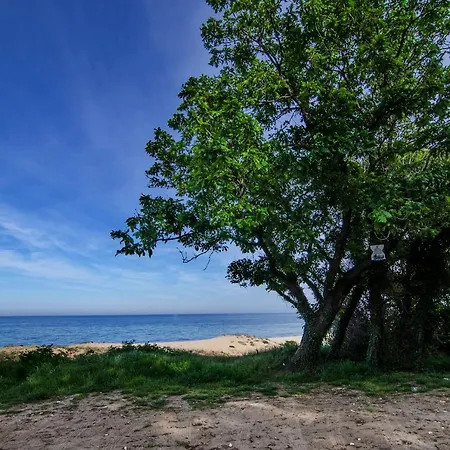 Alex Village ゲストハウス 4*