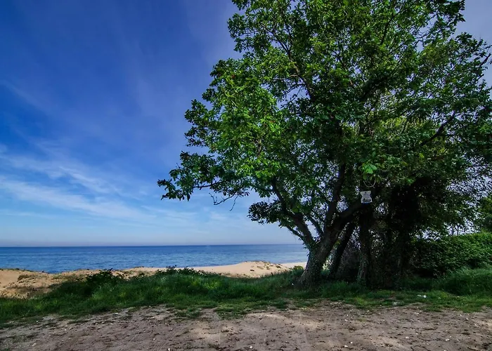 Alex Village Pensjonat 4*